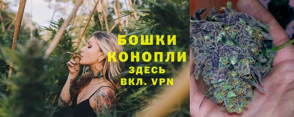 ALPHA PVP Осташков