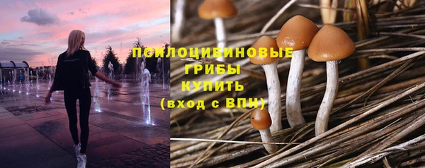 эйфоретик Нягань