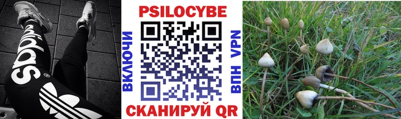 закладки  маркетплейс формула  Галлюциногенные грибы Cubensis  Кинешма 