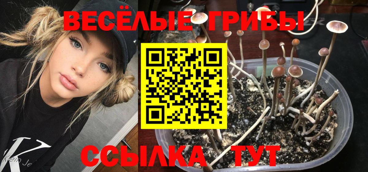 Галлюциногенные грибы мицелий  даркнет сайт  Кинешма  Вход с VPN 