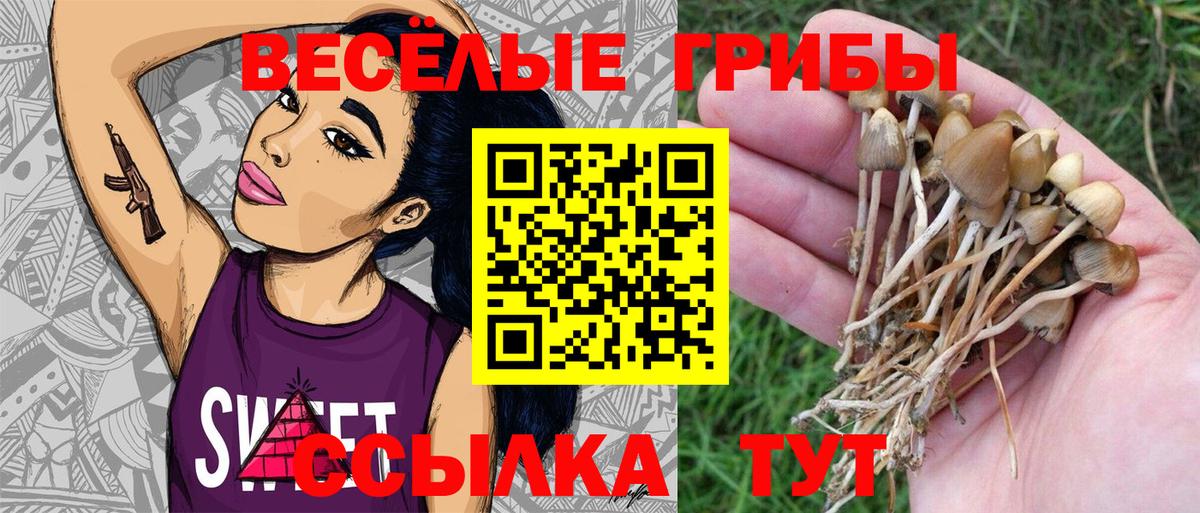 Галлюциногенные грибы MAGIC MUSHROOMS Кинешма